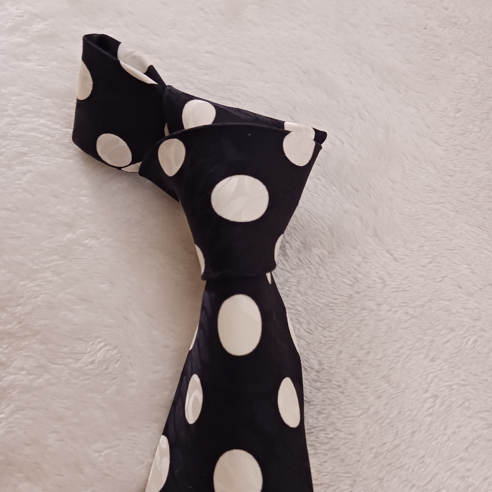 Aldolfo Polka Dot Necktie - Picture 3 of 5